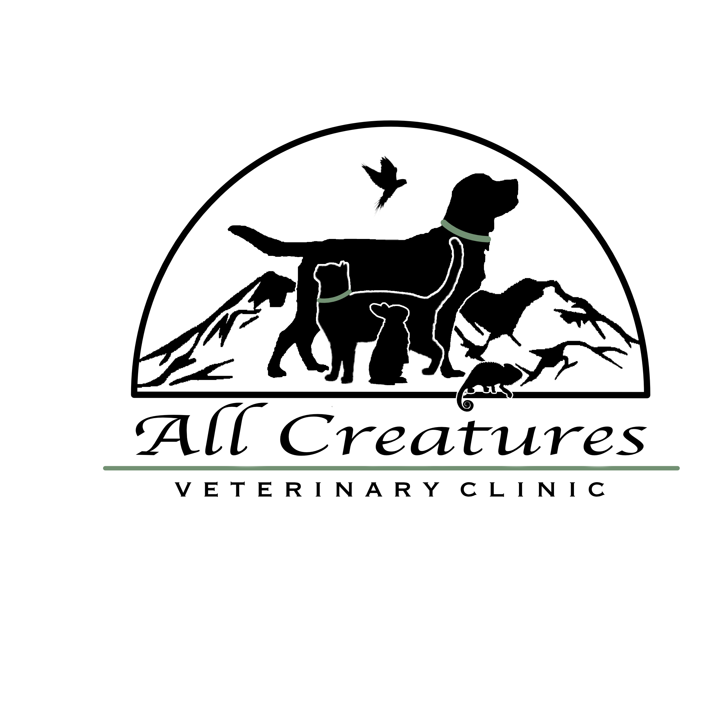 All Creatures Veterinary Clinic